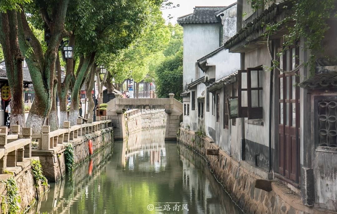 寻找沙漠珍宝